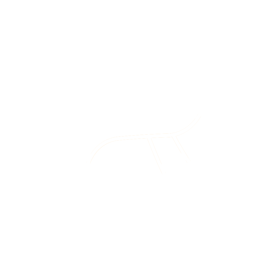 DarkNull