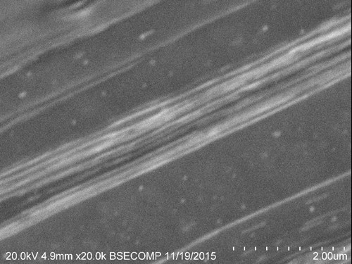 a microscopic view of nitinol niobium alloy